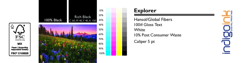 Explorer White Gloss 100# Text