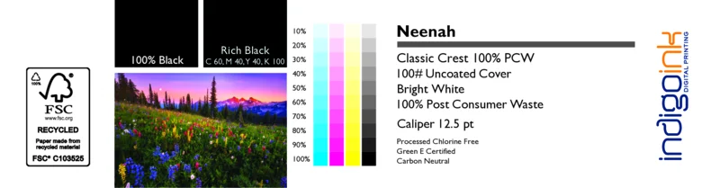 Neenah Cl Cr Br Wht Smooth 100# Cov Recycled
