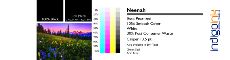 Neenah ESSE Pearlized White Smooth 105# Cover