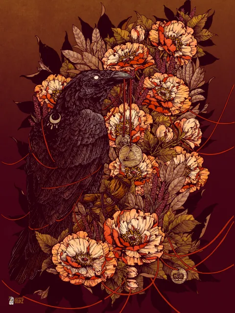 Corvus Corax